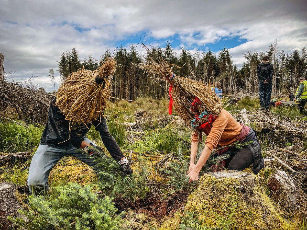 OUT YOU COME: Environmentallists get to work in County Leitrim