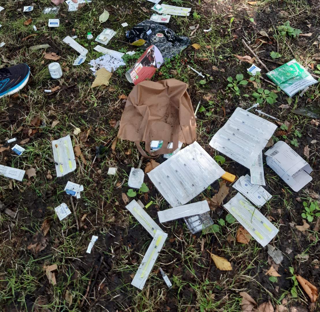 MESS: Evidence of drug taking, including discarded needles, in the grounds of Clifton House