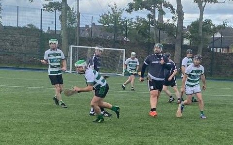 Hurling at juvenile level has proven popular at Wolfe Tones, now the club are set to form a senior team for 2024