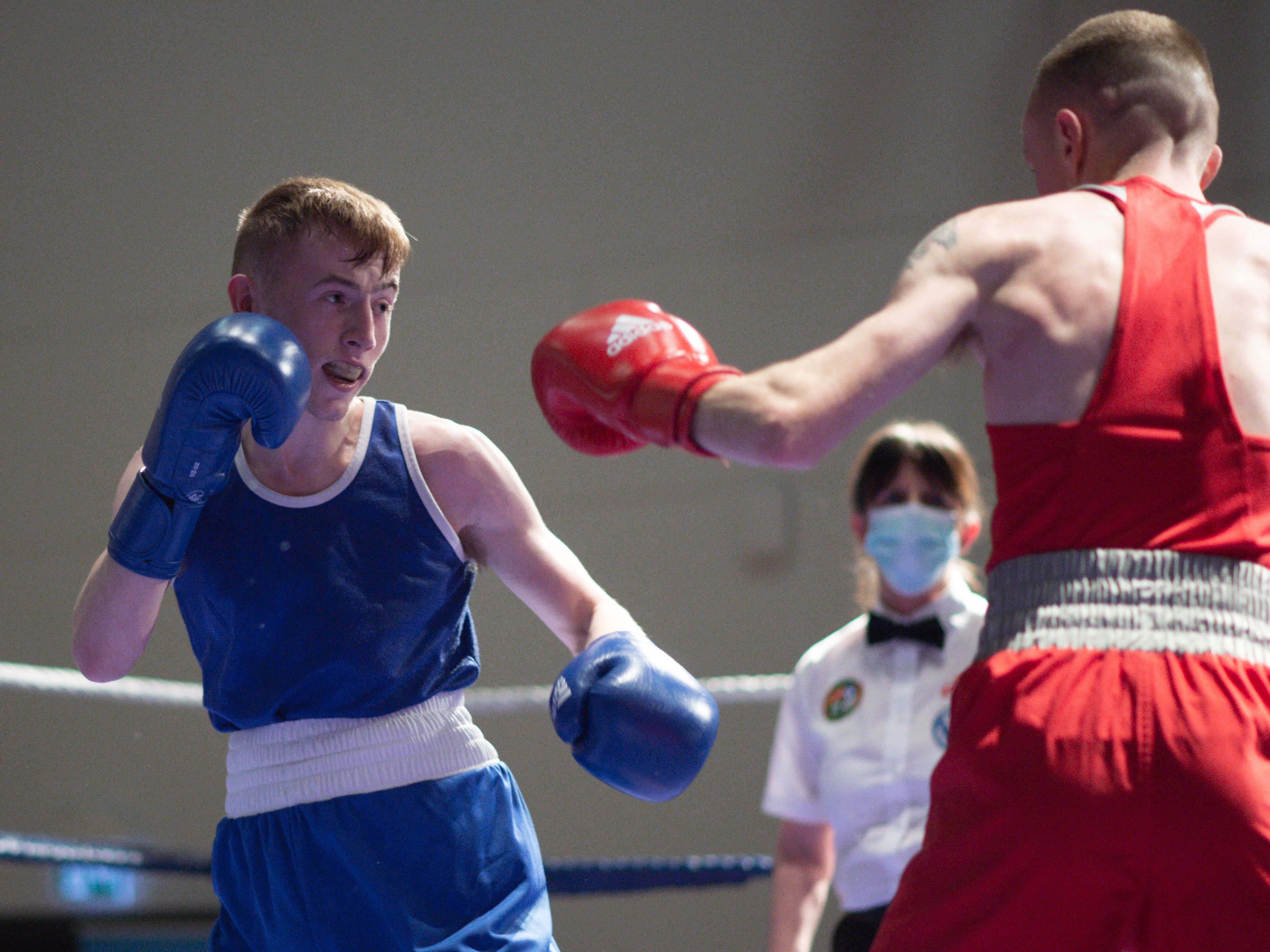 Boxing Ulster Elite semi finals at Girdwood tonight