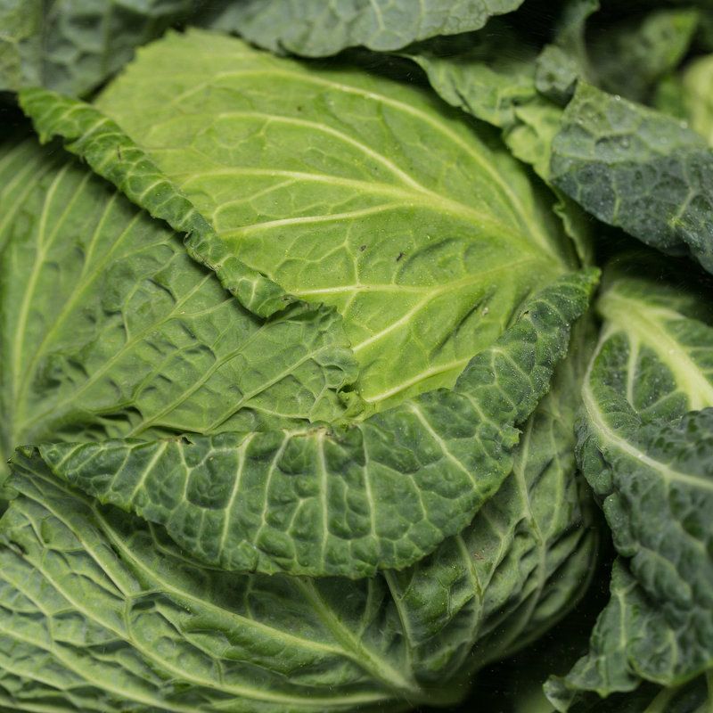 AVOID: Cabbage is great, but the cabbage soup diet isn’t