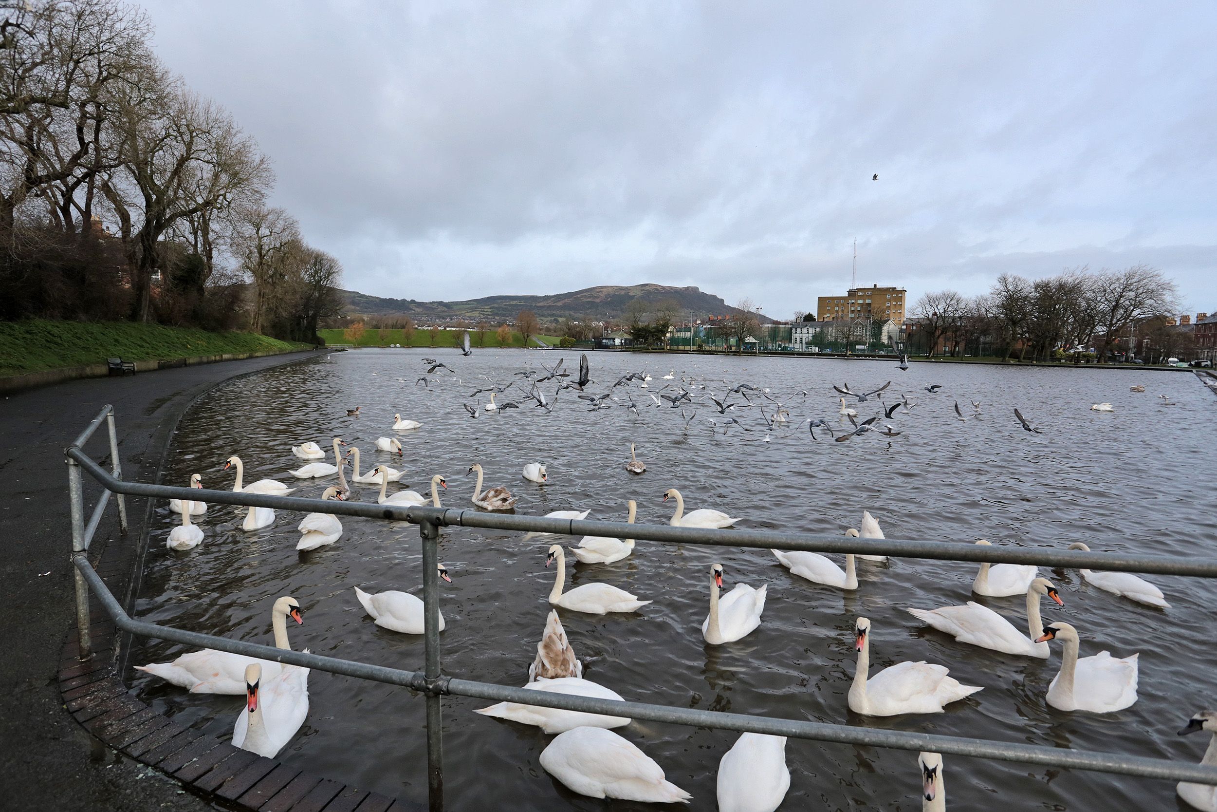 UPGRADES: Over £11m is due to be invested into the Waterworks and Alexandra Park in North Belfast