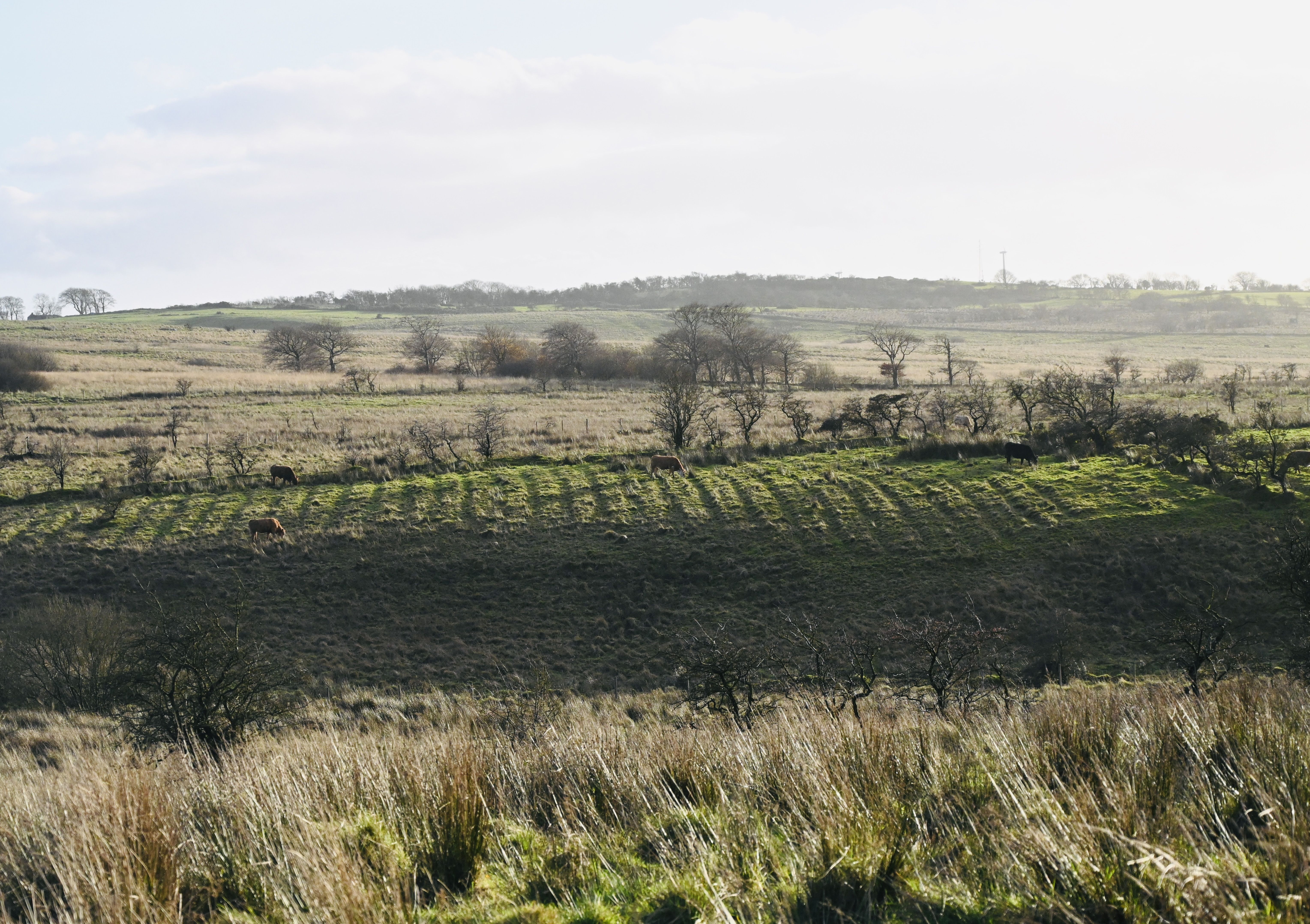 SHADOW AND LIGHT: The Slievenacloy sunshine revealed the fields as our ancestors during Famine times would have tilled them