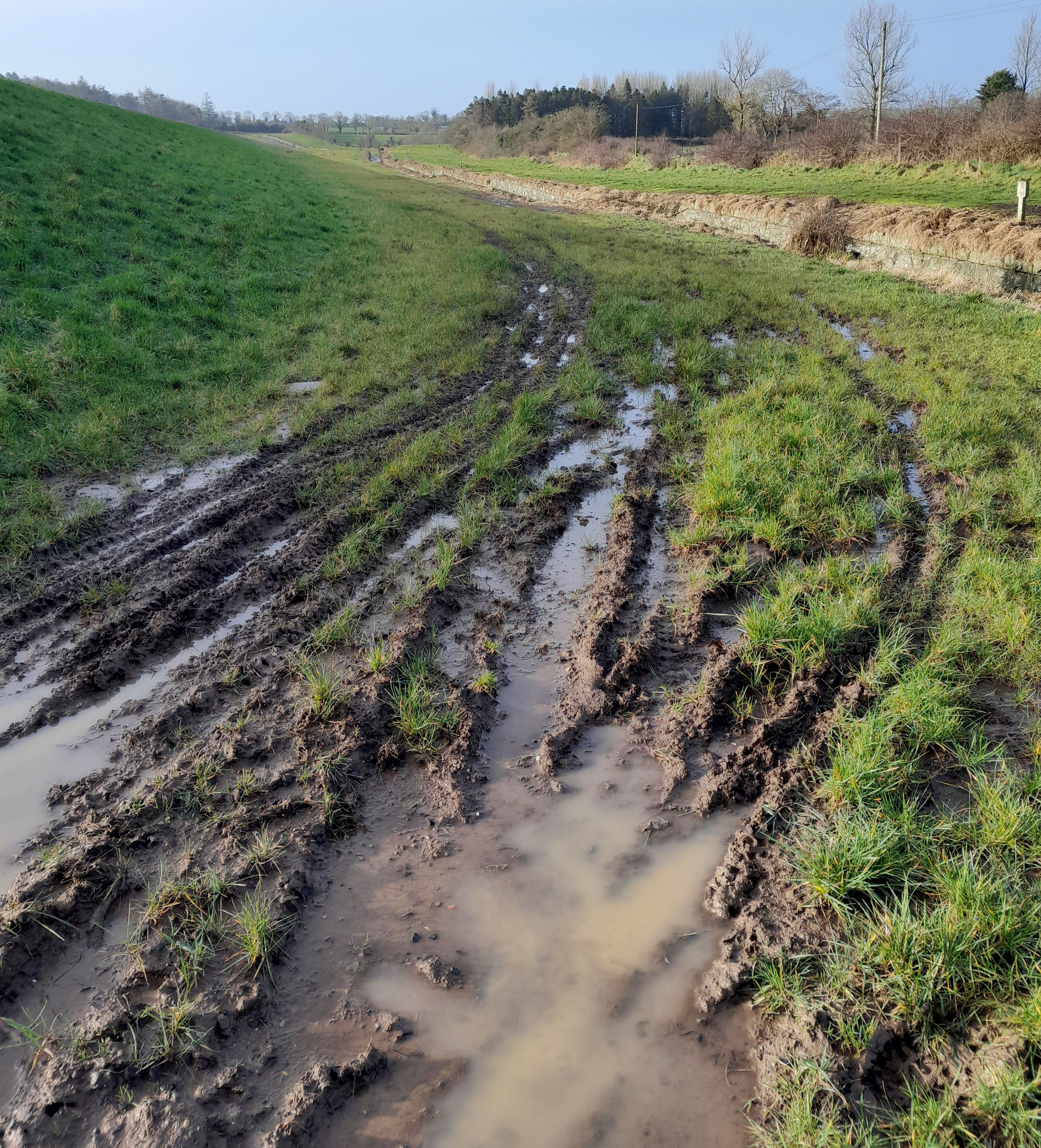 DAMAGE: Scrambler tyre marks at Stoneyford Reservoir