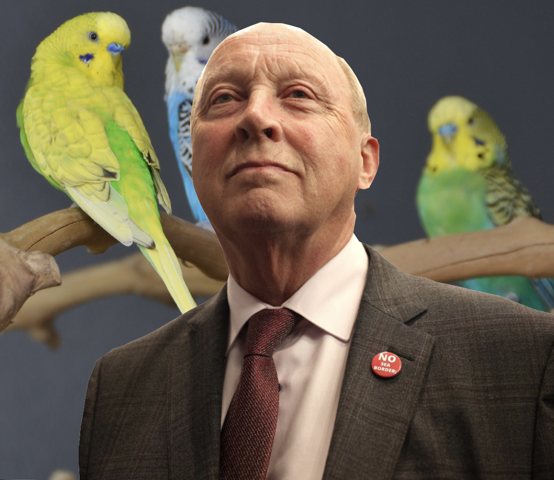 RUFFLING FEATHERS: TUV leader Jim Allister flew off the handle over the ban on budgies – now canaries have been grounded too