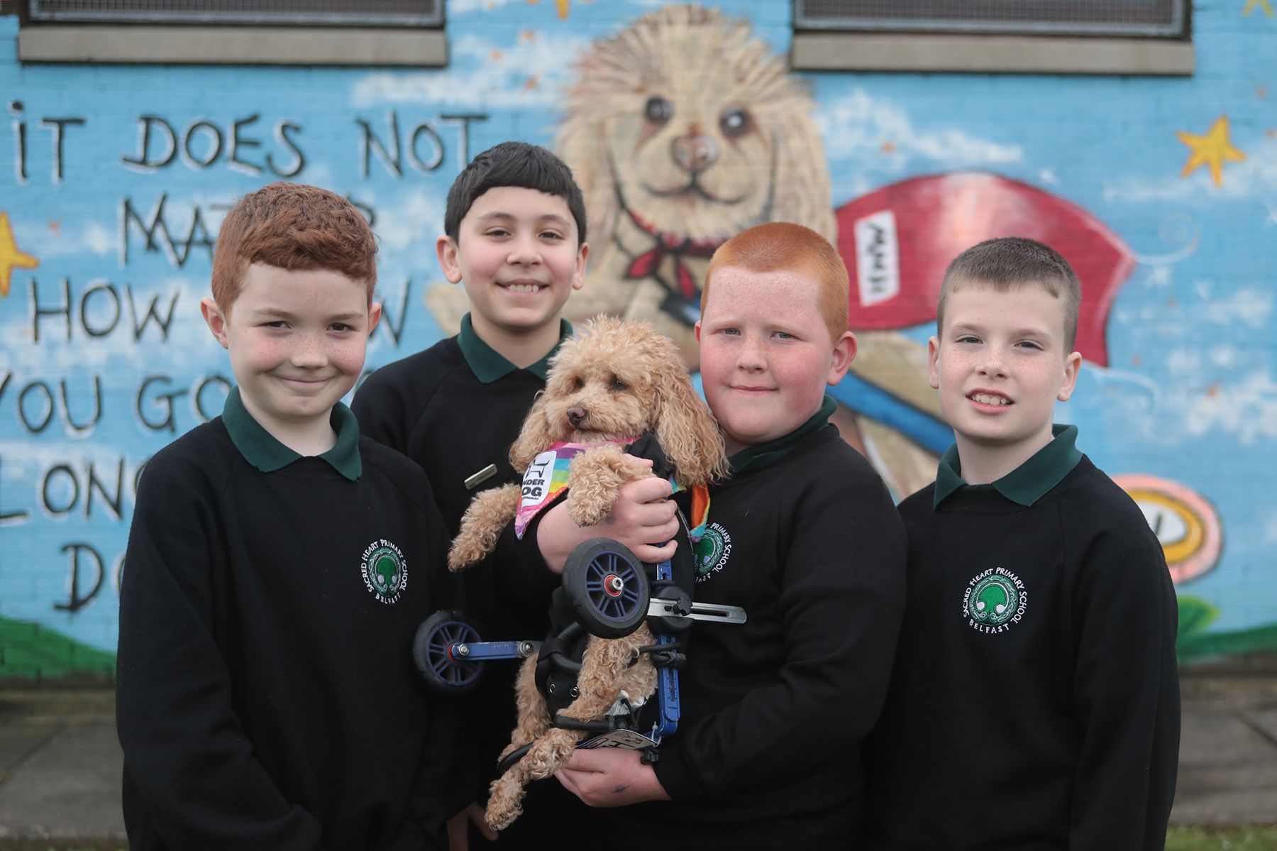 MUCH LOVED: Henry Wee Wheels with pupils from Sacred Heart Boys Primary School whom he visits every Thursday. Henry has become both a member of staff and a pupil at the school