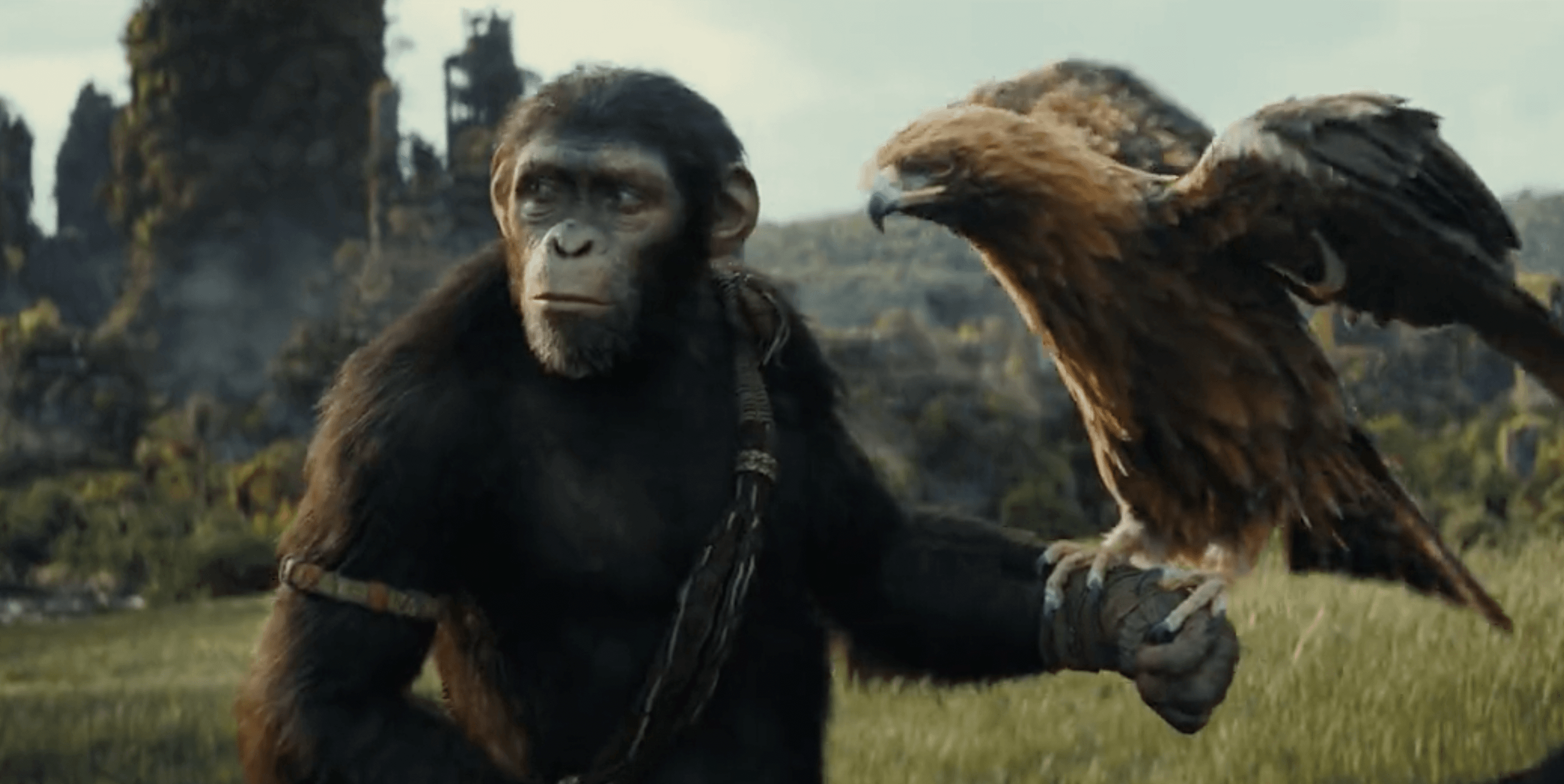 BACK FOR MORE: The supposedly finished Planet of the Apes franchise continues