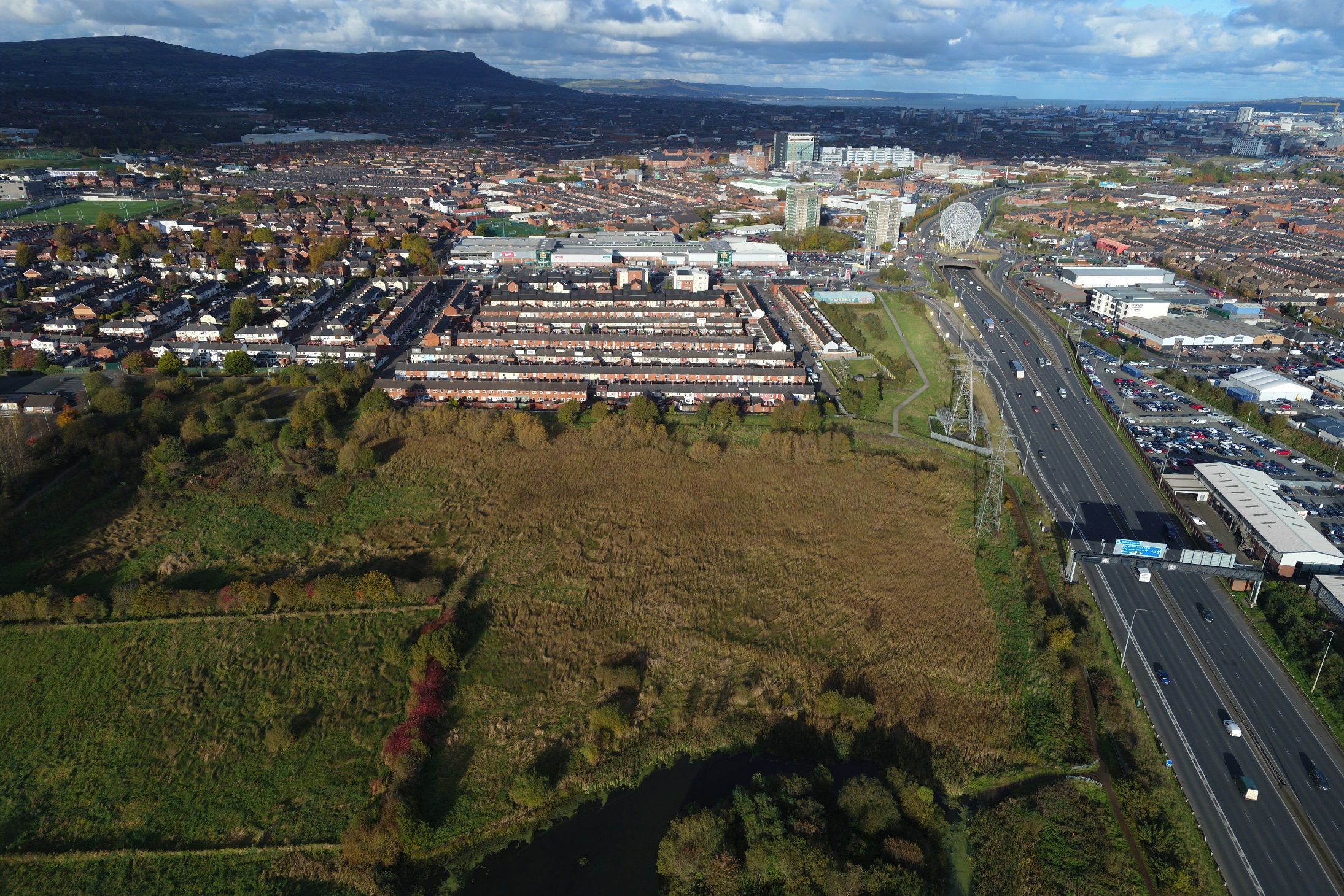 PLANS: The Bog Meadow near the M1 motorway