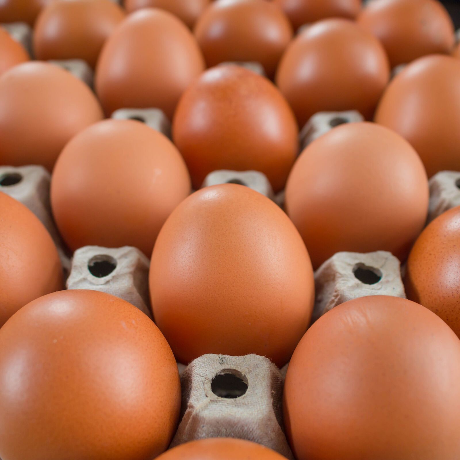 MISTAKEN: There\'s a lot of inaccurate information about eggs and cholesterol