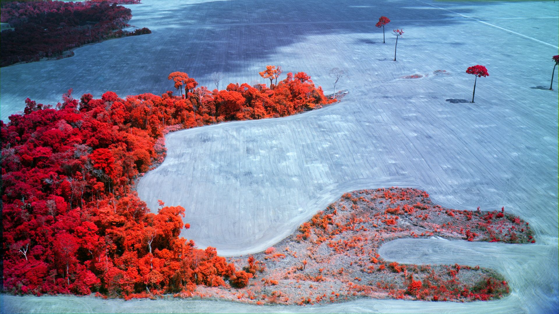 COLOURFUL: A work from \'Broken Spectre\', Richard Mosse\'s study of the impact of climate change