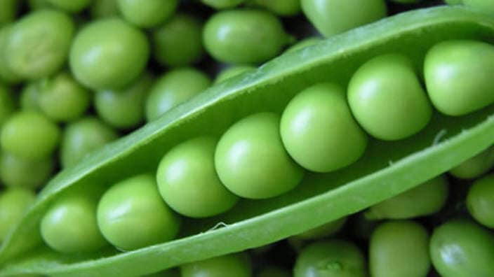 INSIDE OUTSIDE: The pod is the legume, the pea is the pulse