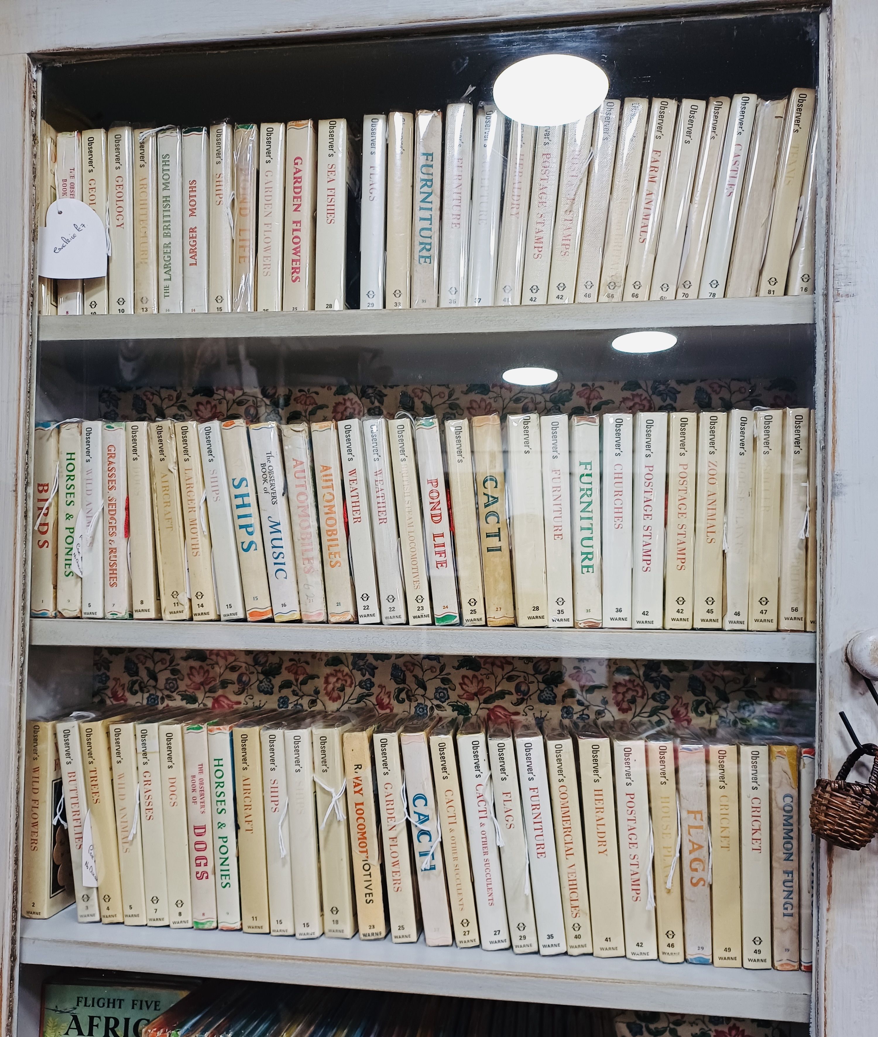 LITTLE LIBRARY: The Observer books were a treasure trove of knowledge before the internet