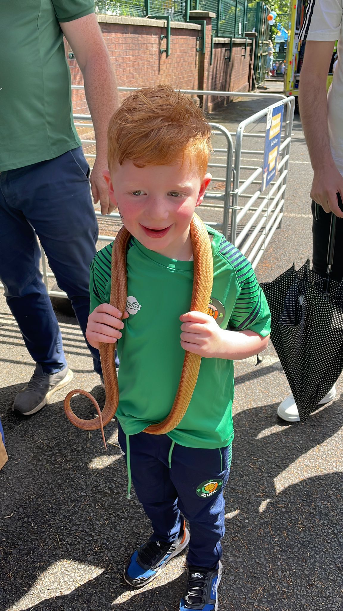 GALLERY: St Therese of Lisieux Primary School host Summer Fair