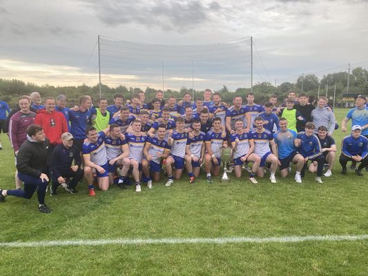 Gaelic Games: St Brigid's claim Division One football title