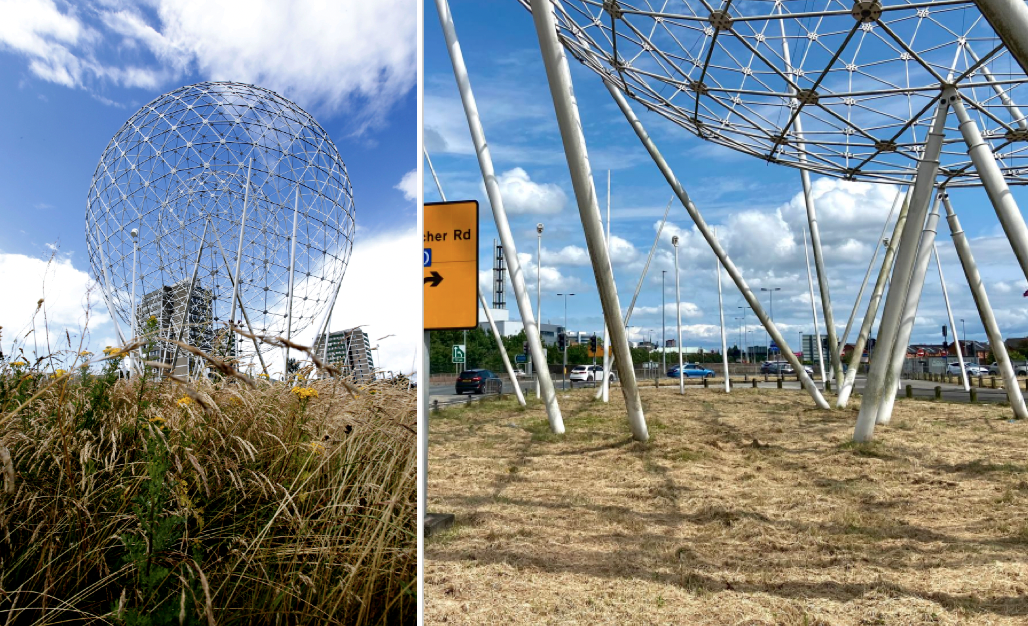 CHANGE: DfI cut the wildflowers and grass at the Balls on the Falls