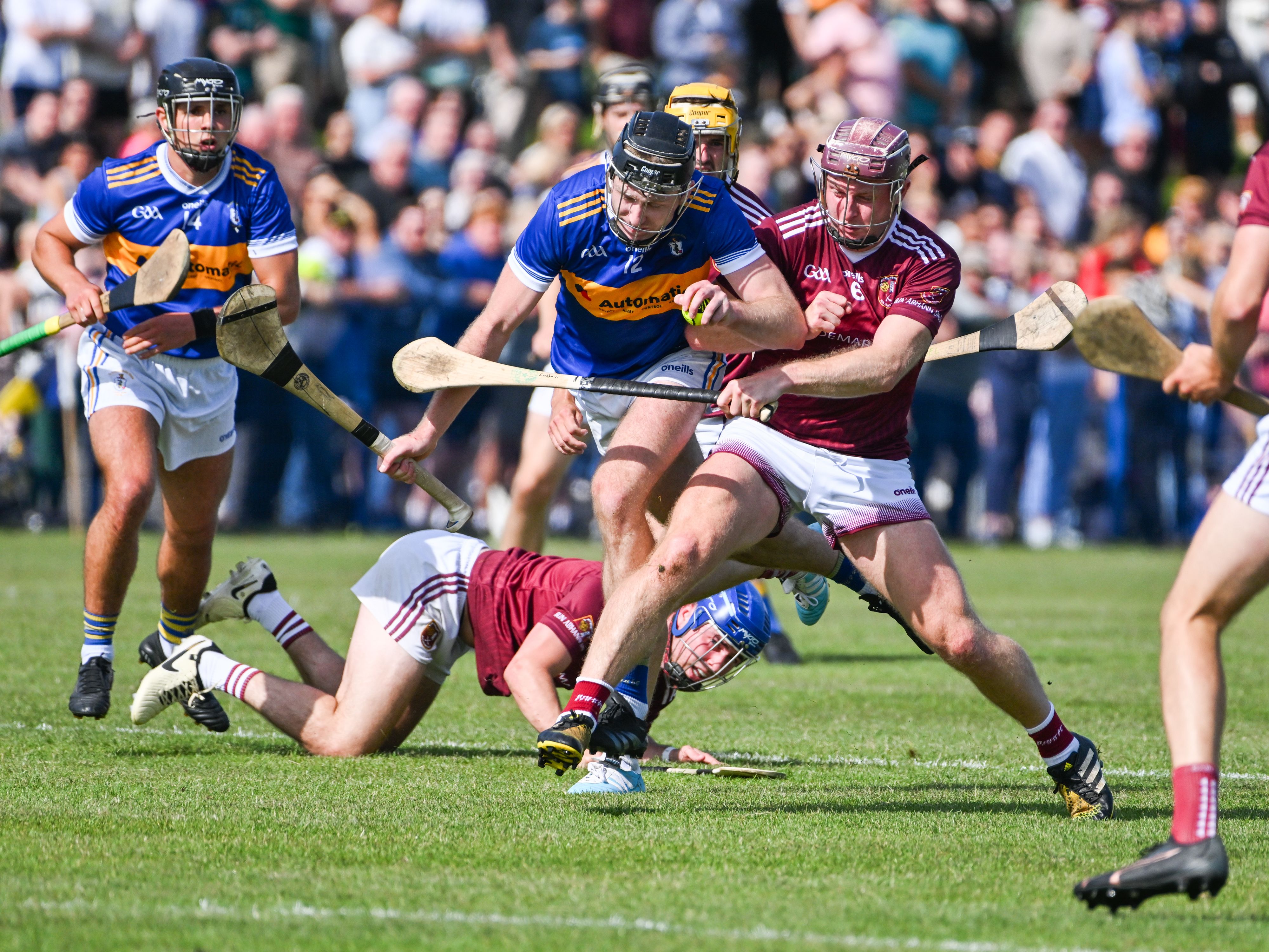 Aodhán O\'Brien is challenged by Eohgan Campbell on Sunday 