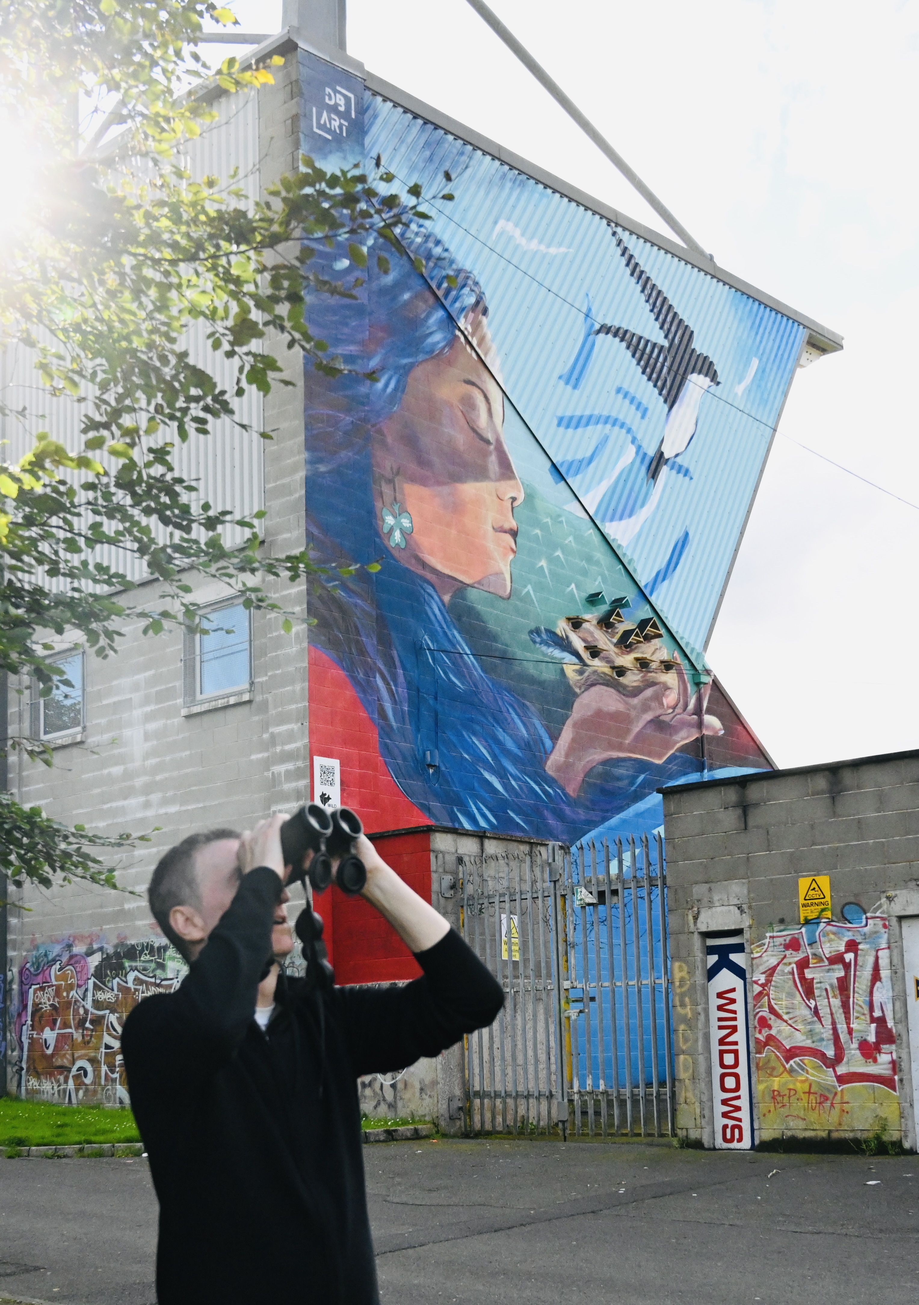 PARADISE: Cliftonville’s home ground Solitude is home to house martins, swifts, swallows and sand martins and the club is doing great work to make them welcome