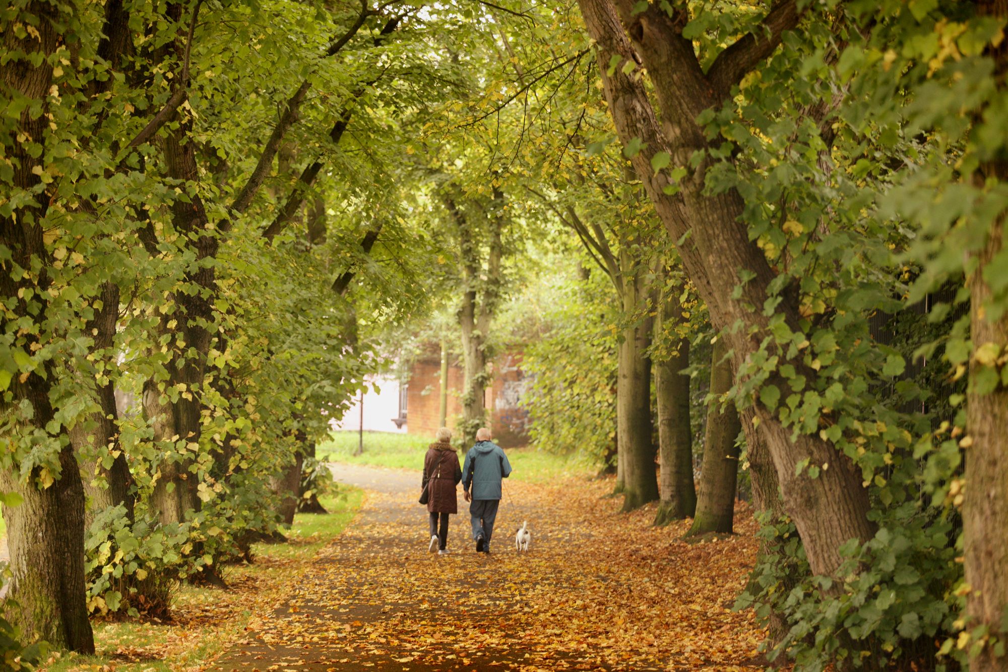 REFLECTION: Take time to stop and think as autumn takes you in its golden embrace