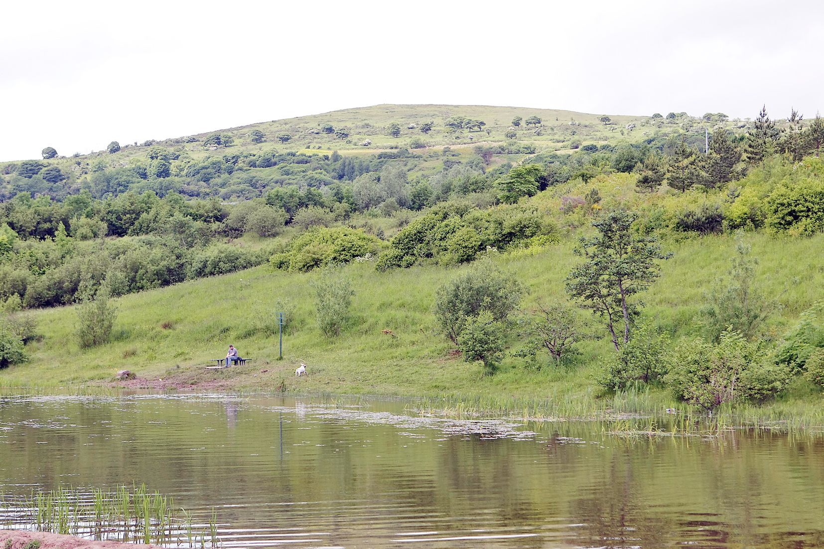 FÓMHAR BEAG NA NGÉANNA: Aimsir Siúlóide i nGleann an Cholláin  