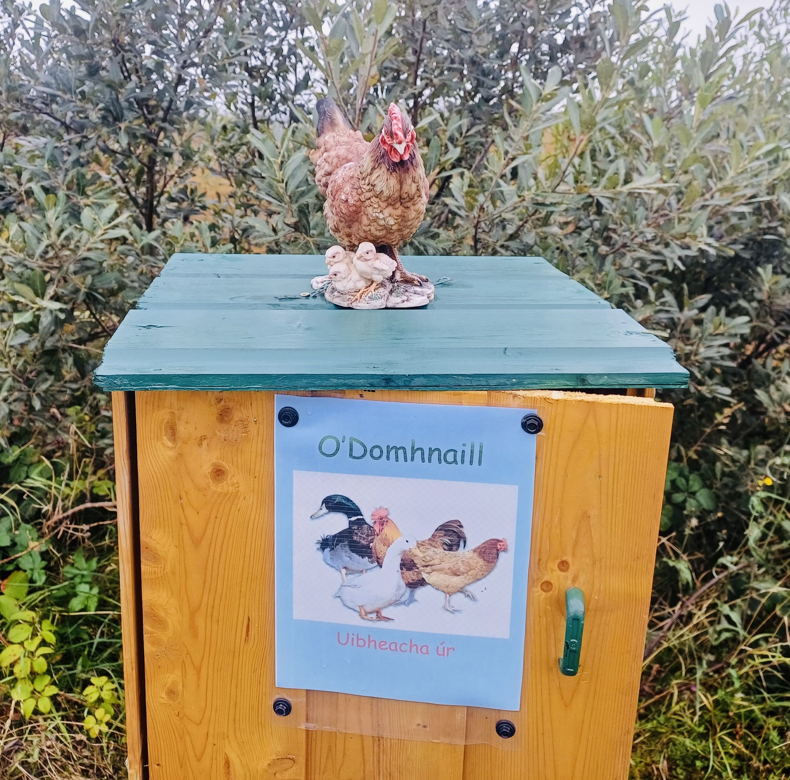 DOUBLE BOOST: Duck and hen eggs in the honesty box 