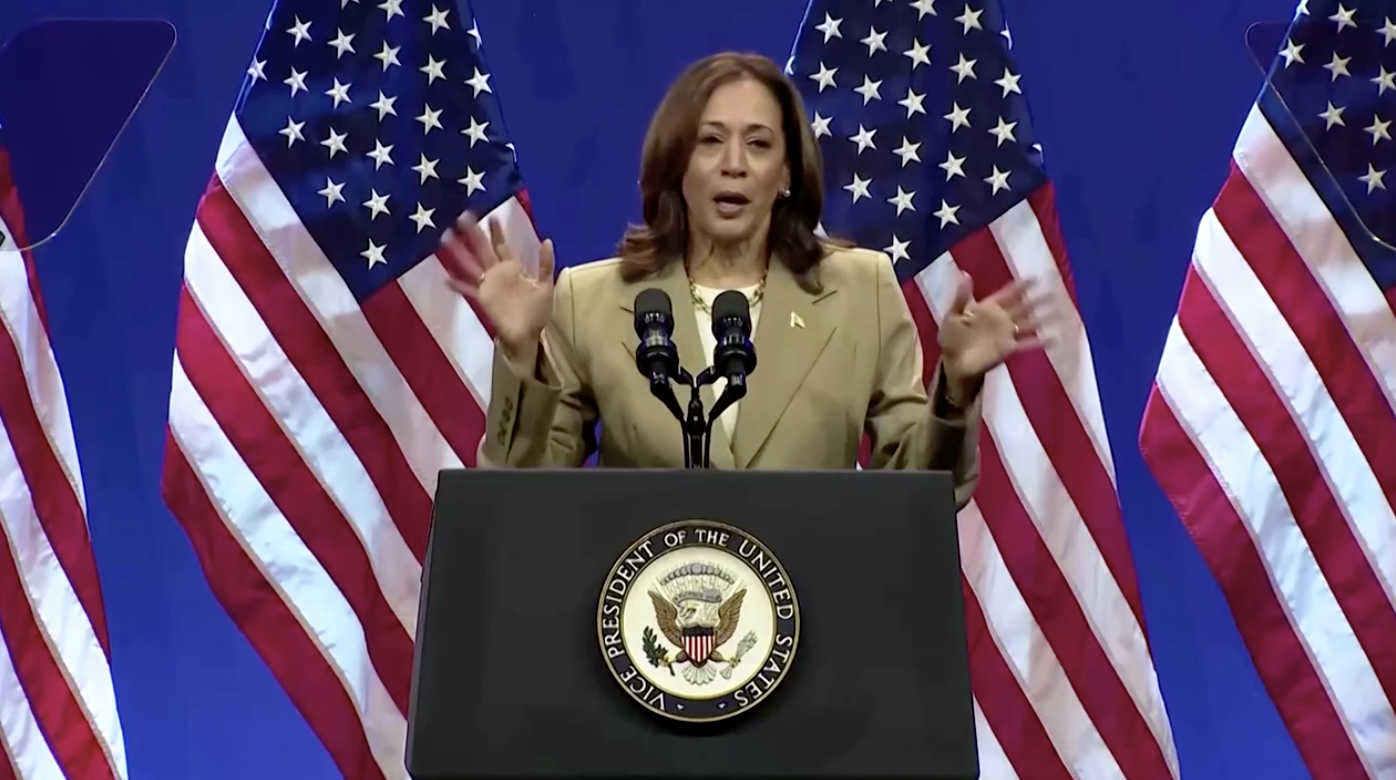 MOMENTUM: Kamala Harris\'s introduction to this year\'s race for the White House has dampened expectations of a Donald Trump coronation