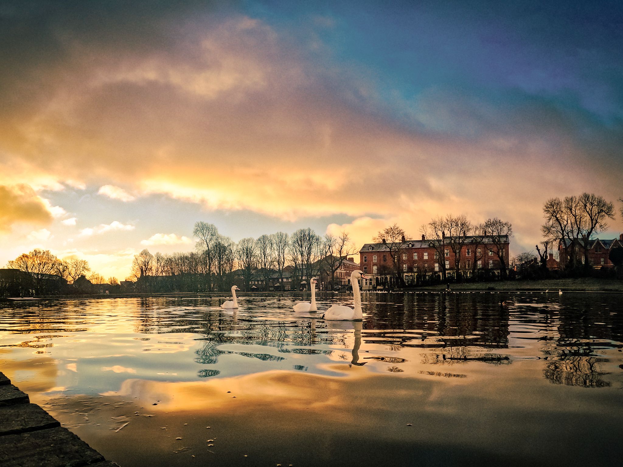 PRIZE: The 2024 winner in the Park Landscape category