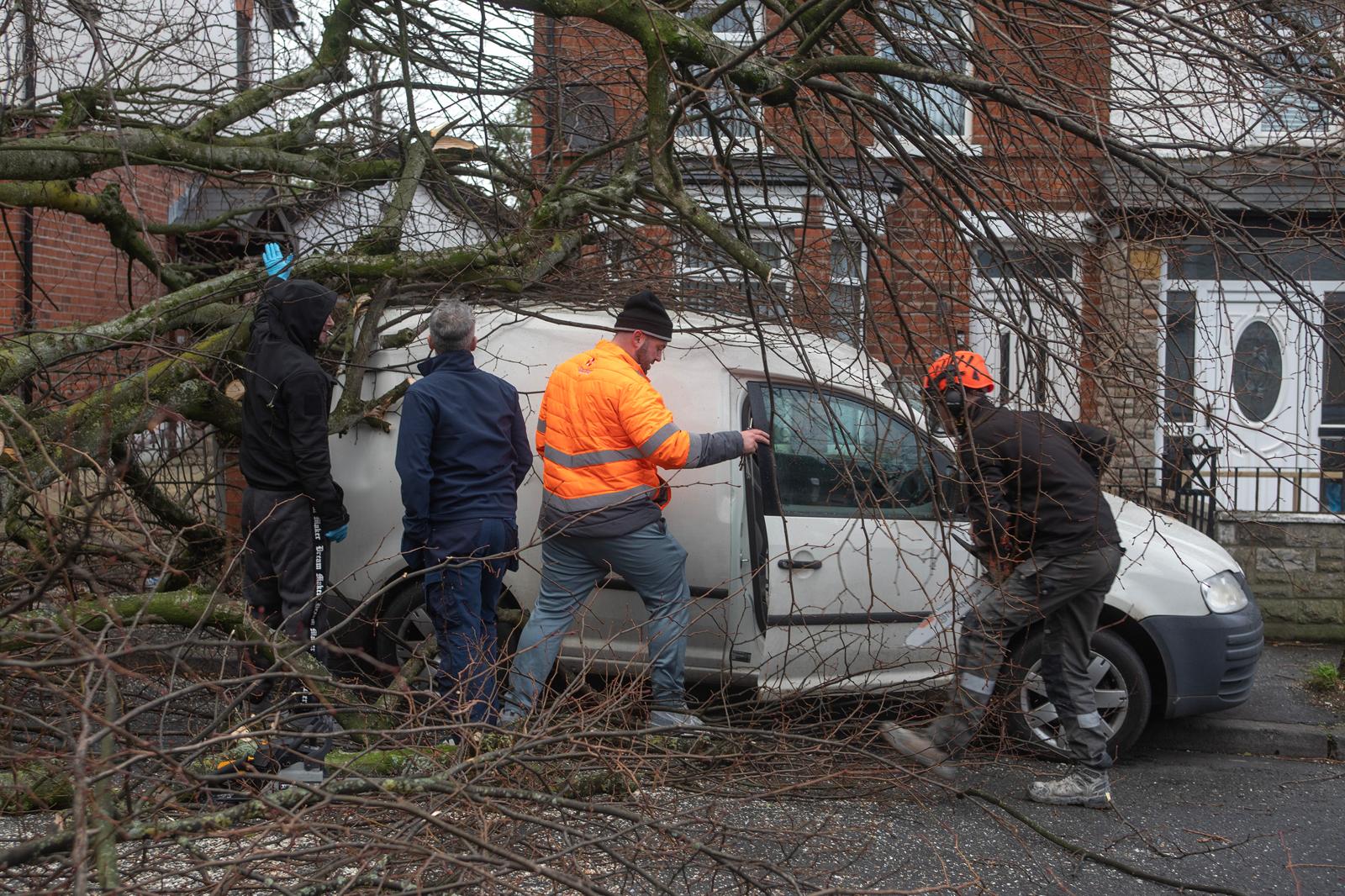 Fallen trees on top of a van in South Belfast