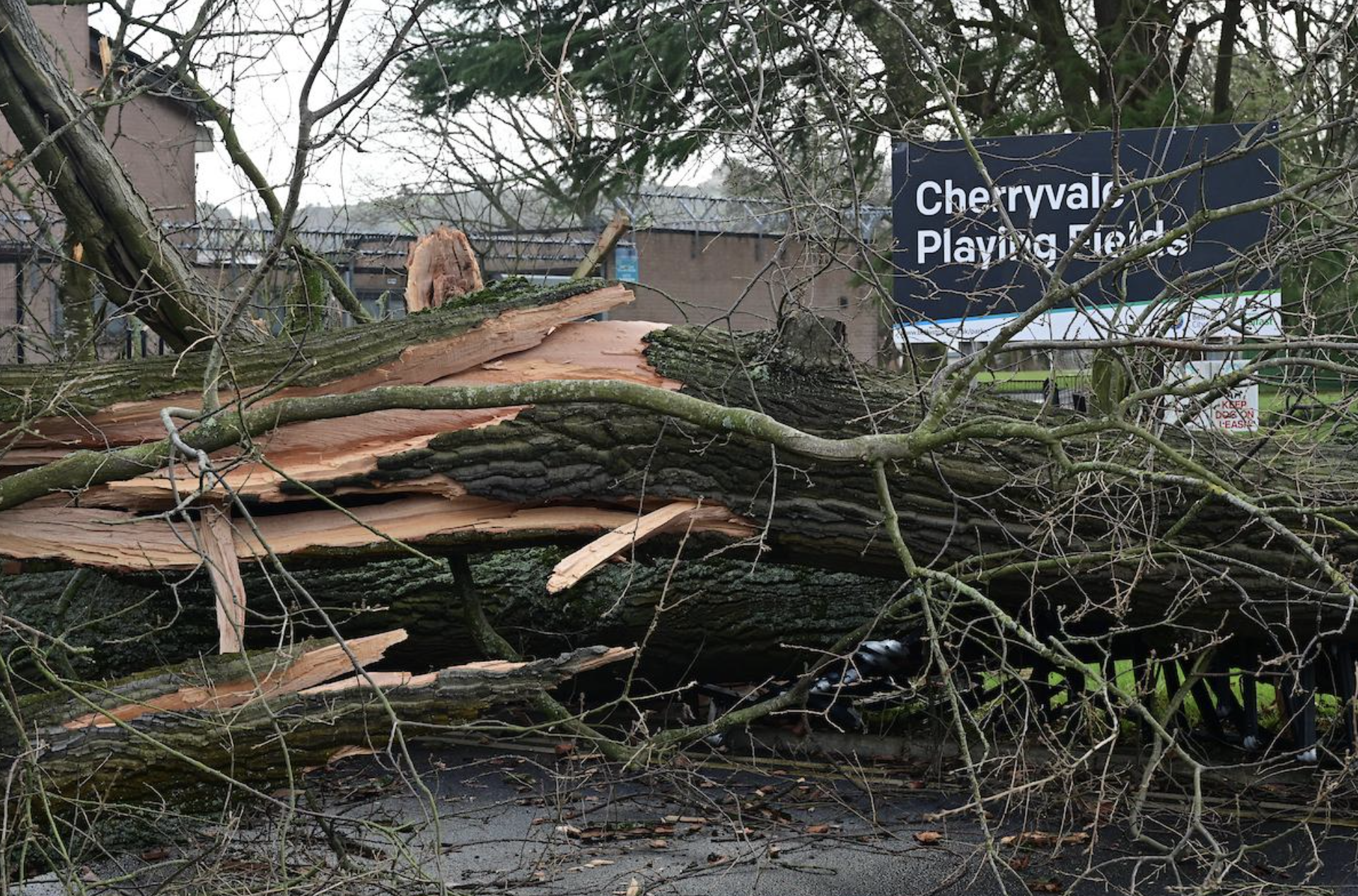 CLEAN UP: Belfast is recovering from Friday\'s storm