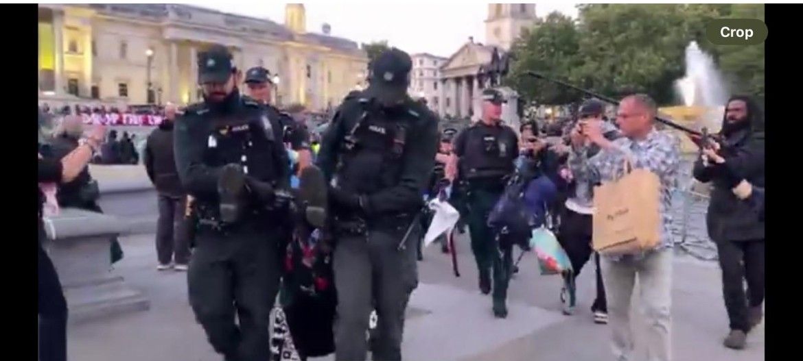 DEPLOYED: PSNI officers arresting an elderly protester in London on Saturday