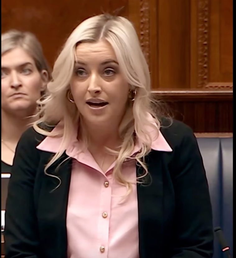 MOTION: West Belfast MLA Órlaithí Flynn speaking in the Assembly on Tuesday