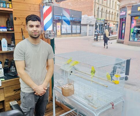 DÚLRA: Rosemary Street budgies bring back pet shop memories