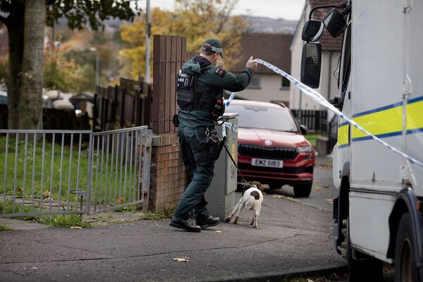 Viable device found in Glenalina Gardens security alert