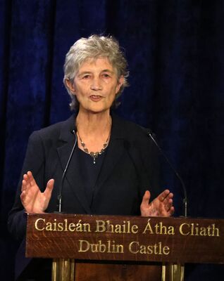 ROBIN LIVINGSTONE: Online Orange insults weren’t an Áras decider 