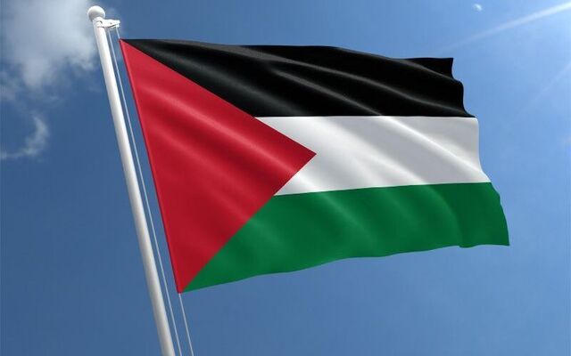 Palestine flag to fly at Belfast City Hall in show of solidarity