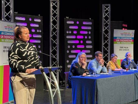 AISLING REILLY MLA: Unity conversation has 'shifted from dreaming to planning'