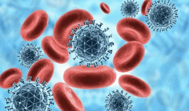 HEALTHWISE: Beware wild claims about your immune system