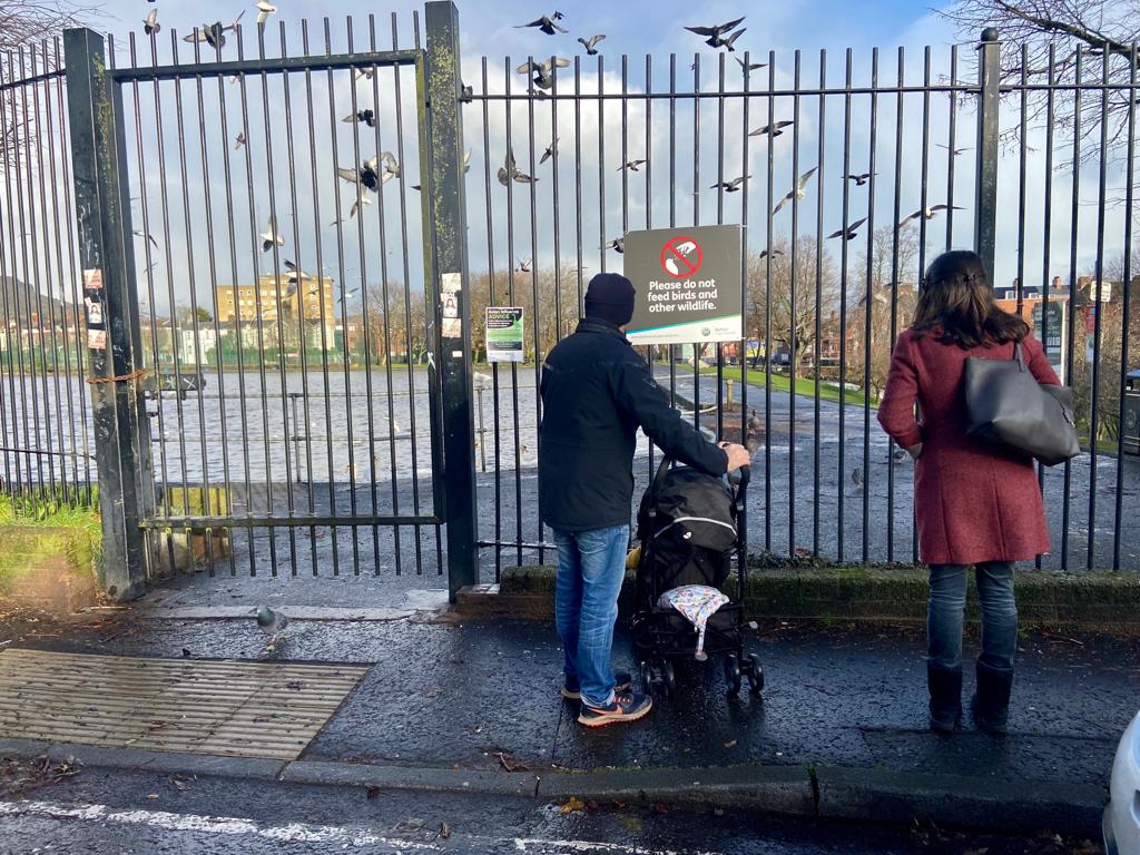 BIRD FLU CONCERNS: Waterworks in North Belfast