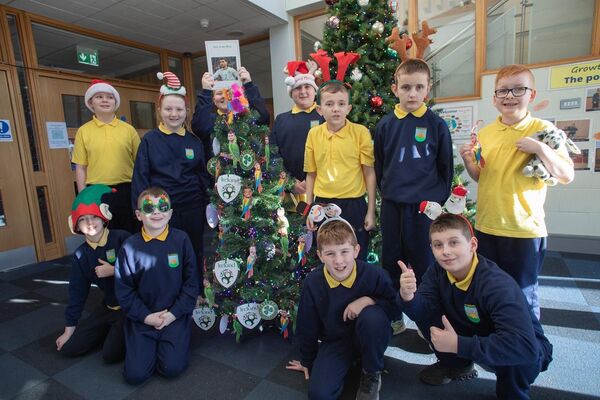 West Belfast school gets 'Parrott Fever' this Christmas