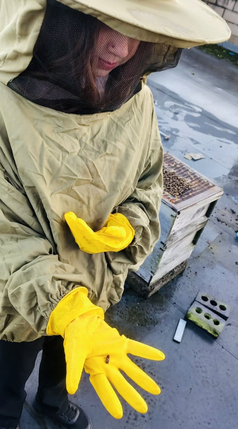 UP ON THE ROOF: Dúlra had the pleasure of visiting the Cólaiste Feirste bee colony at the foot of Black Mountain