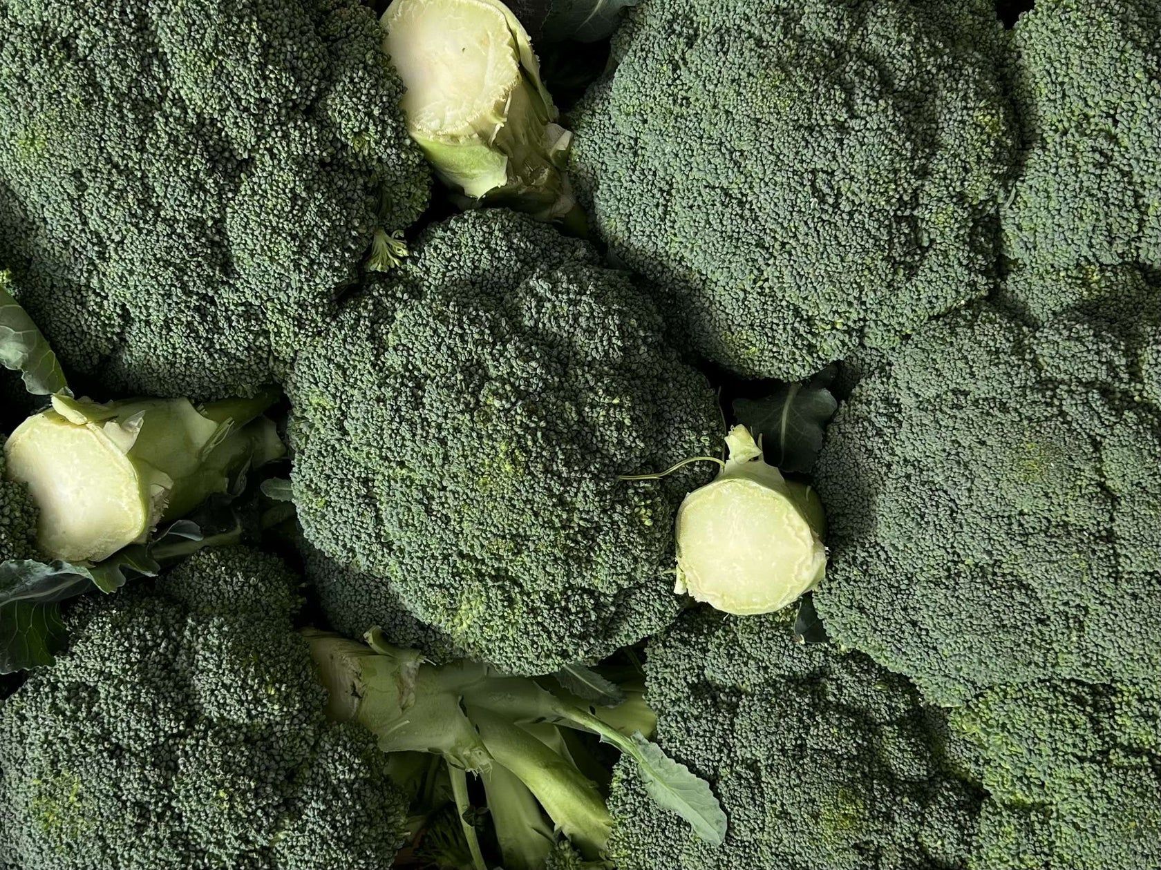 GREEN SCENE: Broccoli is good for stanols and sterols – but they’re better got elsewhere