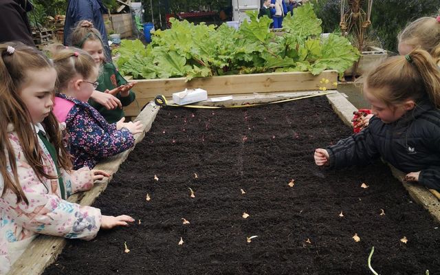 COMMUNITY GARDENING: Making an early start in the garden