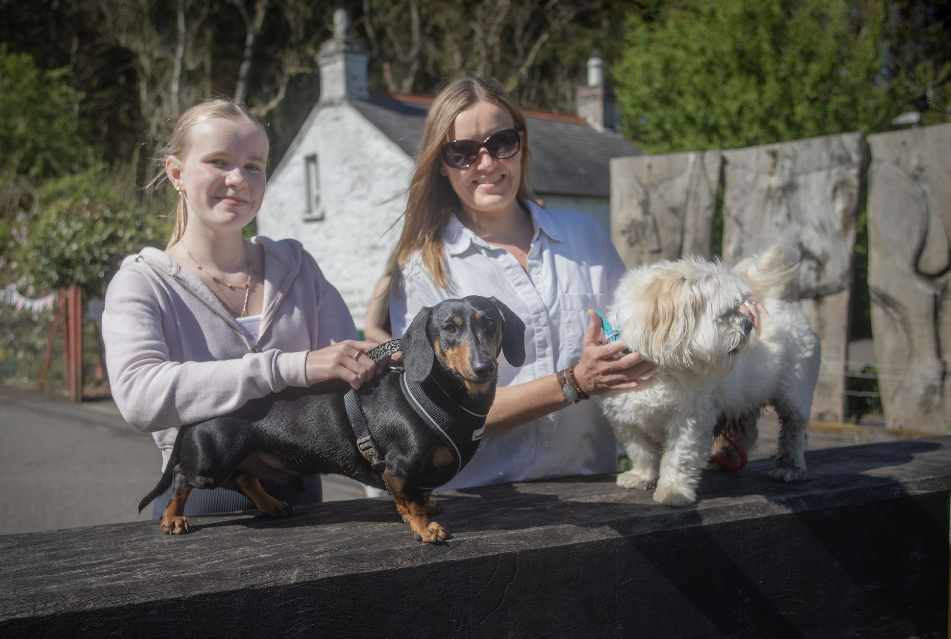 Winston and Cookie with Kate and Connie
