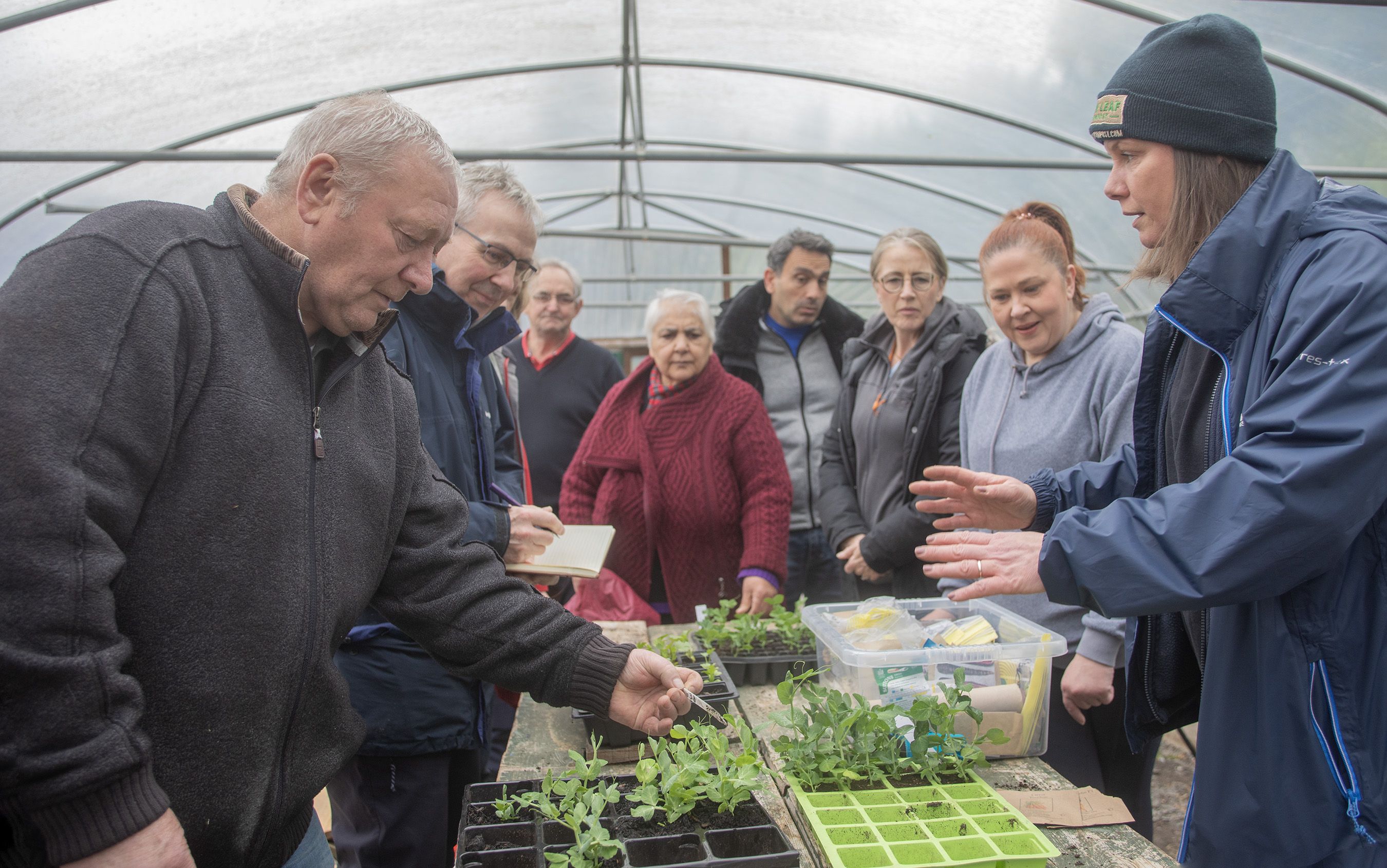 TOGETHER: Grow your own in Colin Allotments 