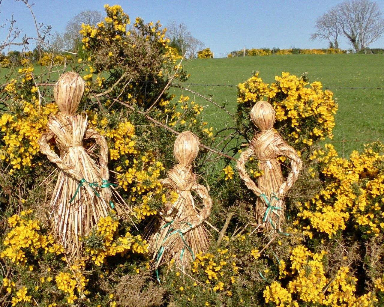 ANCIENT CUSTOMS: The Armagh Rhymers have put out the May Dolls for the month that\'s in it