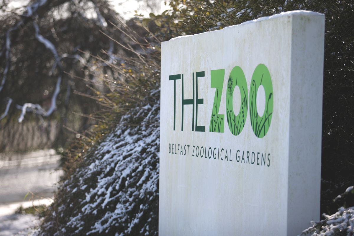 FINANCIAL CONCERNS: Belfast Zoo is losing £1.9m a year, according to Sinn Féin