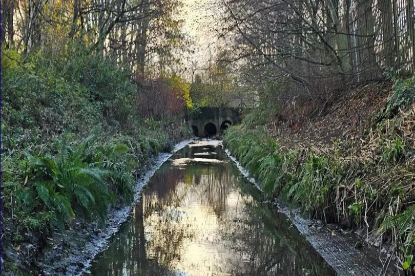GREENWAY PLANS: The Blackstaff River near Boucher Road is at the centre of the project