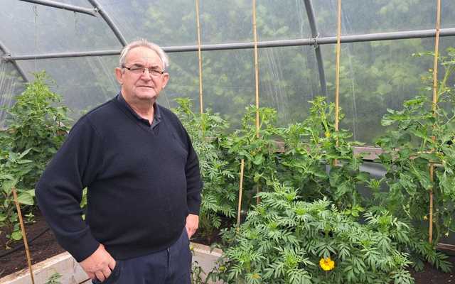 COMMUNITY GARDENING: Catching up with our Best of West runners