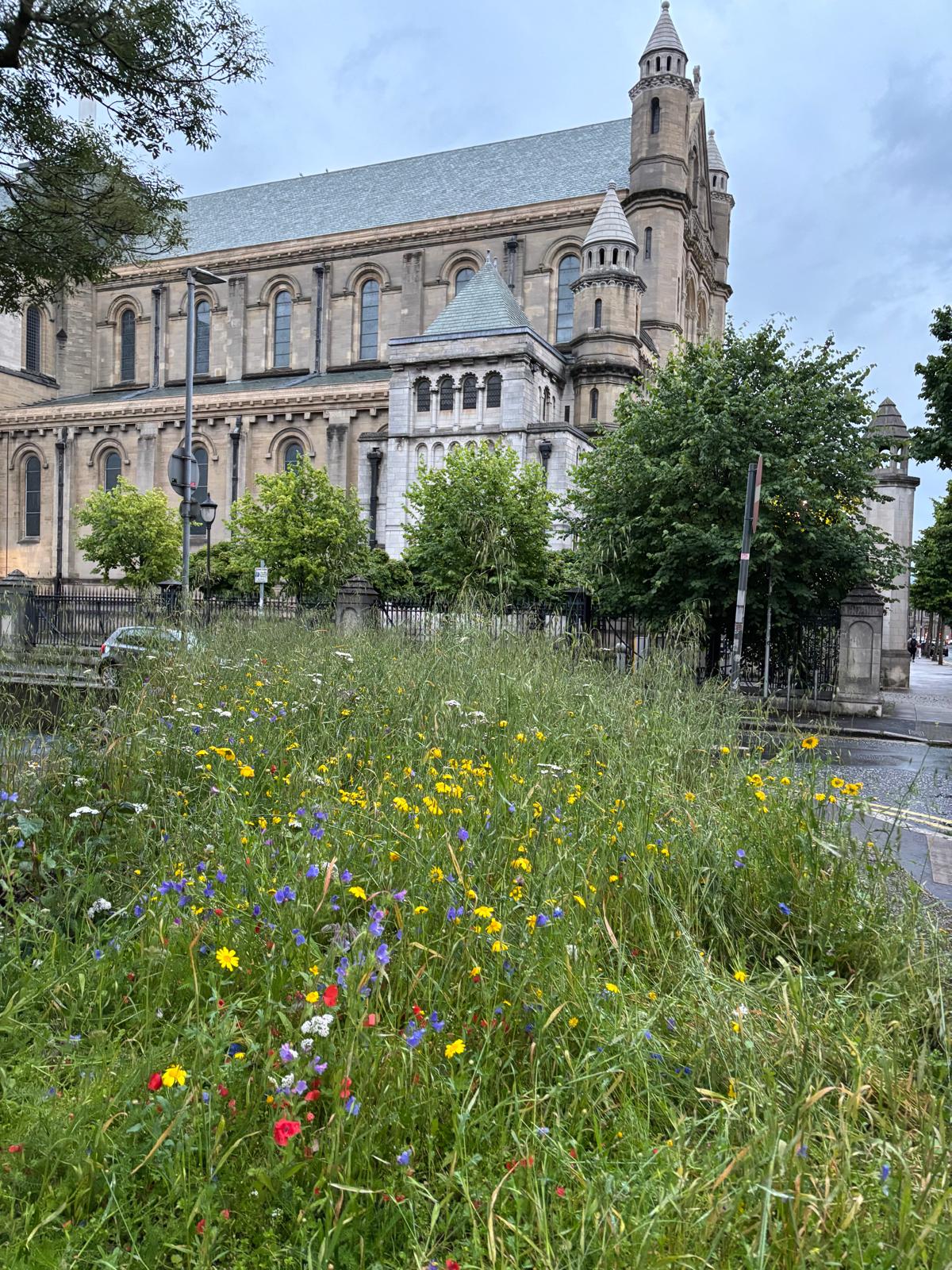 FLOWER POWER: As we move deeper into summer and the city around us blooms, take a second to appreciate it