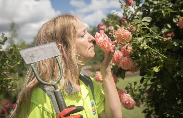 Everything's coming up Roses at Lady Dixon this weekend