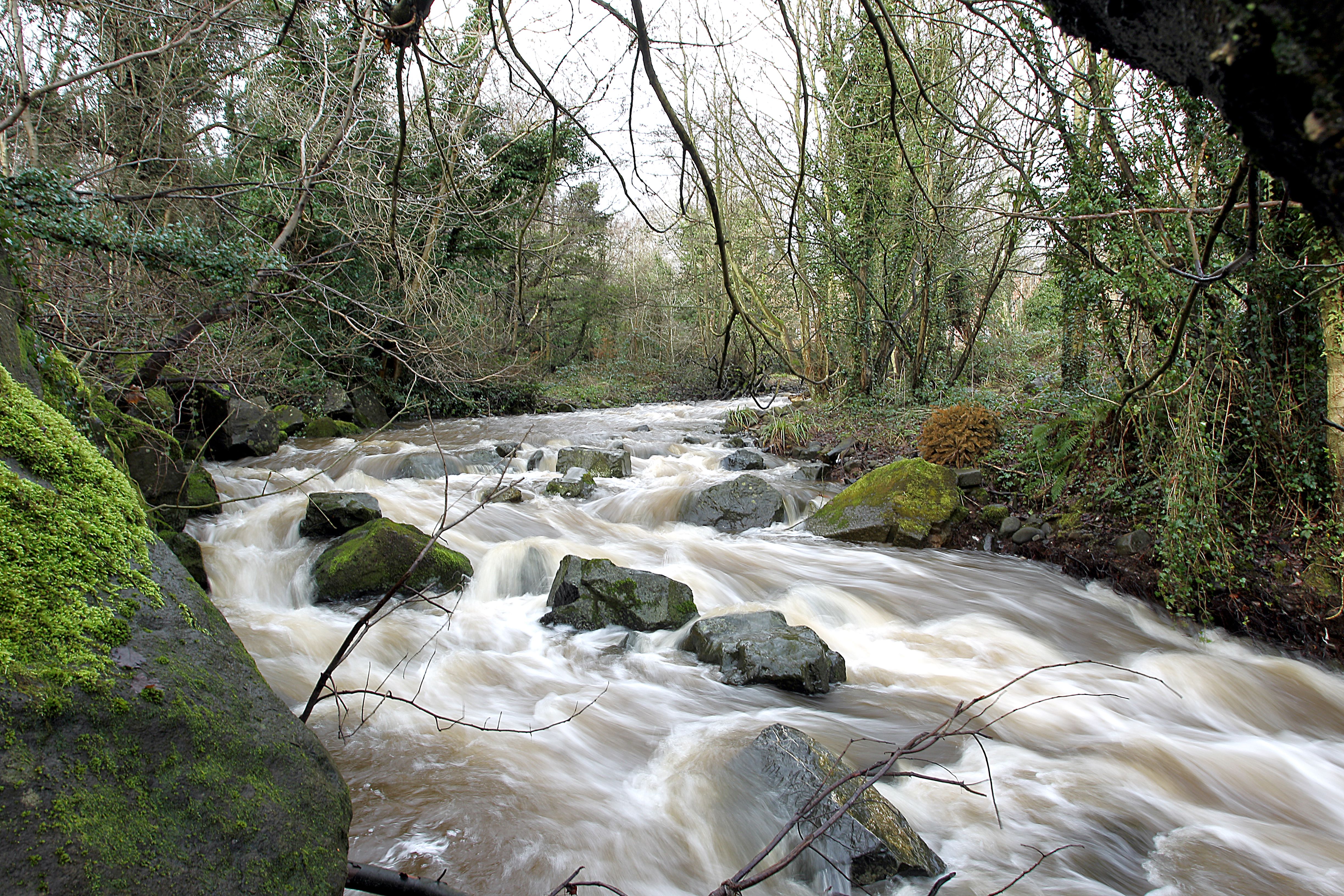 A THING OF BEAUTY: Colin Glen Forest Park in the heart of West Belfast